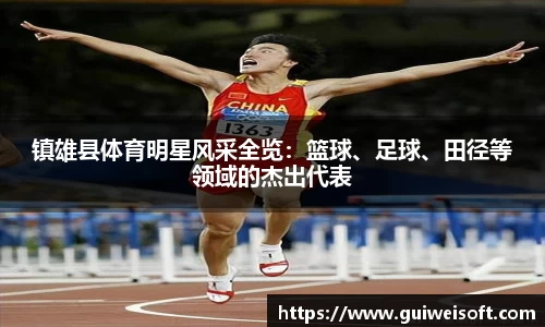半岛bob·官方网站