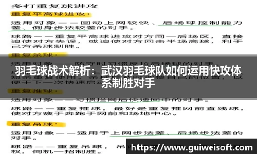 羽毛球战术解析：武汉羽毛球队如何运用快攻体系制胜对手