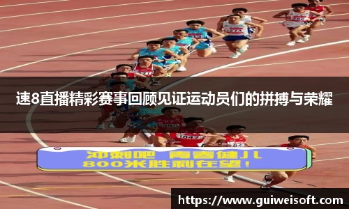 半岛bob·官方网站