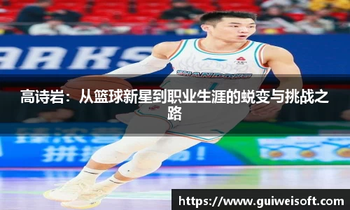 BoB半岛·体育中国官方网站