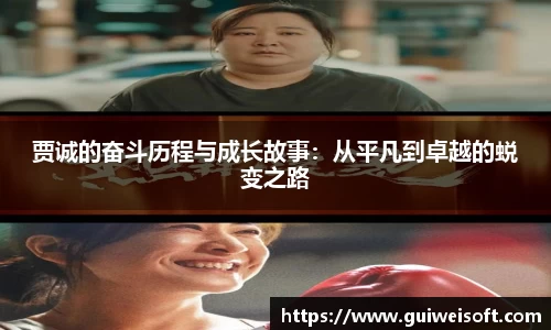 半岛·BOB官方网站