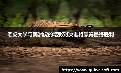 老虎大学与美洲虎的精彩对决谁将赢得最终胜利