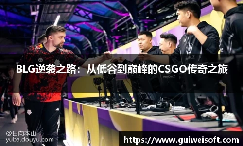 半岛bob·官方网站